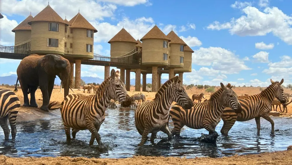 Salt-Lick-Safari-Lodge-1200-×-750-px-3