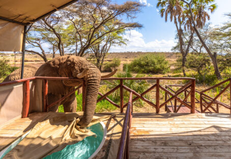 5 days Aberdares / Samburu / Meru Jeep / Flight (4 nights)