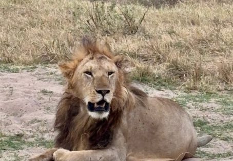 5 days Aberdares / Samburu / Meru Jeep / Flight (4 nights)