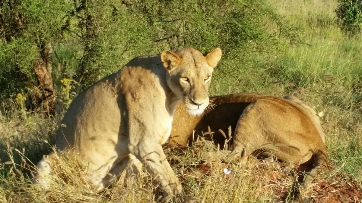 marco-polo-safaris-day (3)