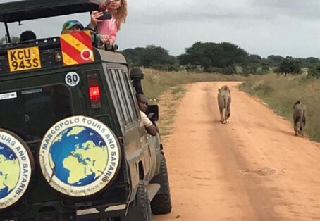 5 days Aberdares / Samburu / Meru Jeep / Flight (4 nights)