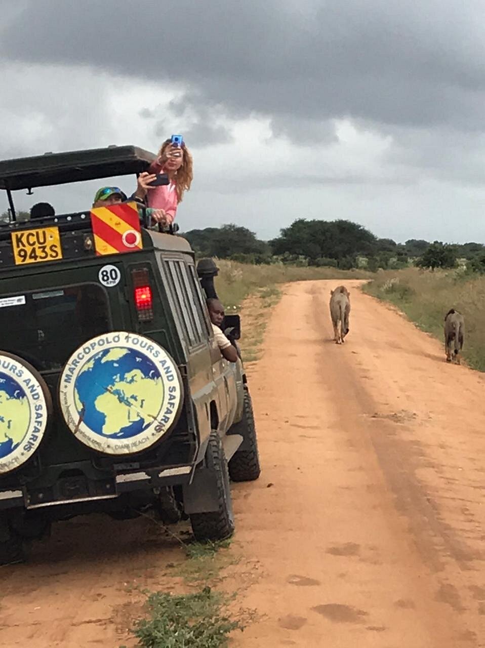 safari-jeep