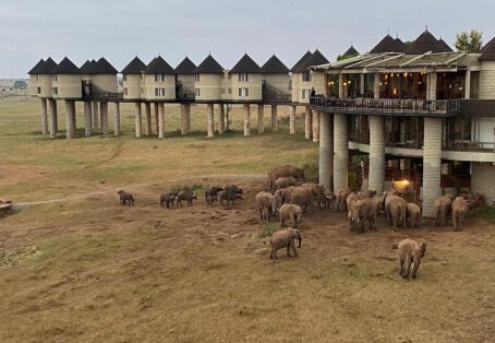 5 days Aberdares / Samburu / Meru Jeep / Flight (4 nights)