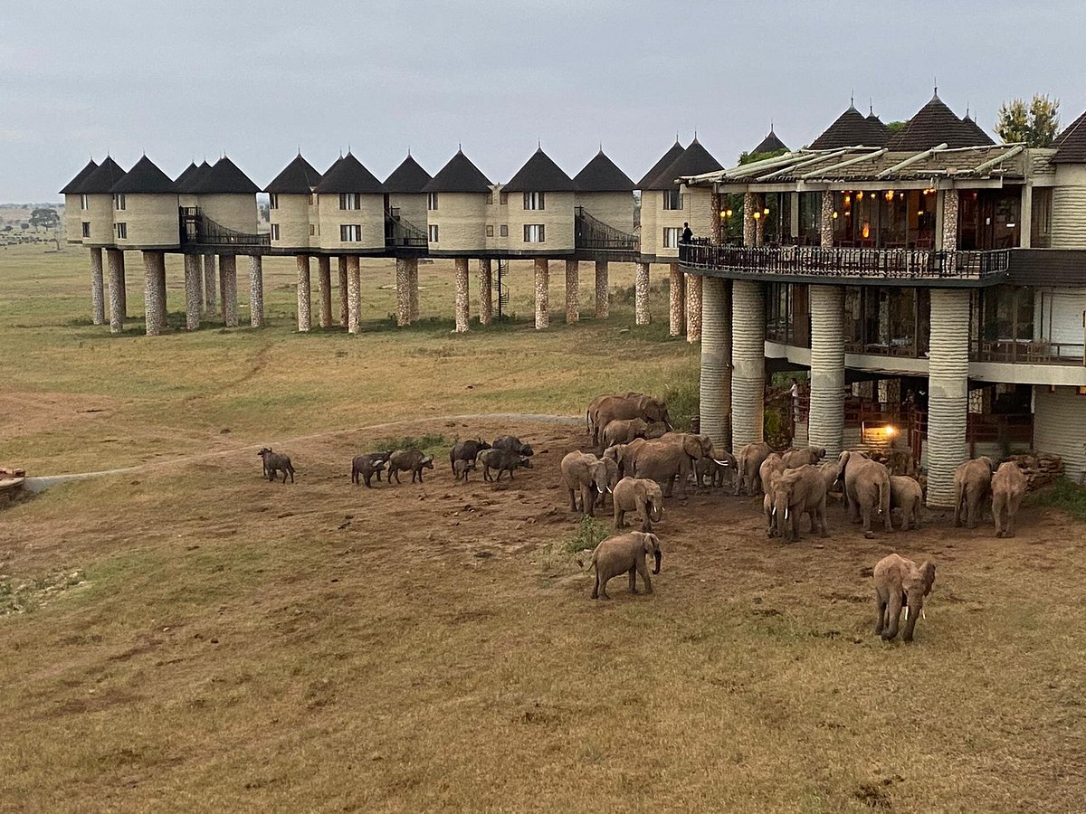 saltlick-safari-lodge