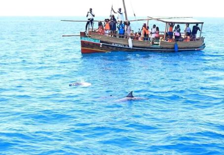 5 days Aberdares / Samburu / Meru Jeep / Flight (4 nights)